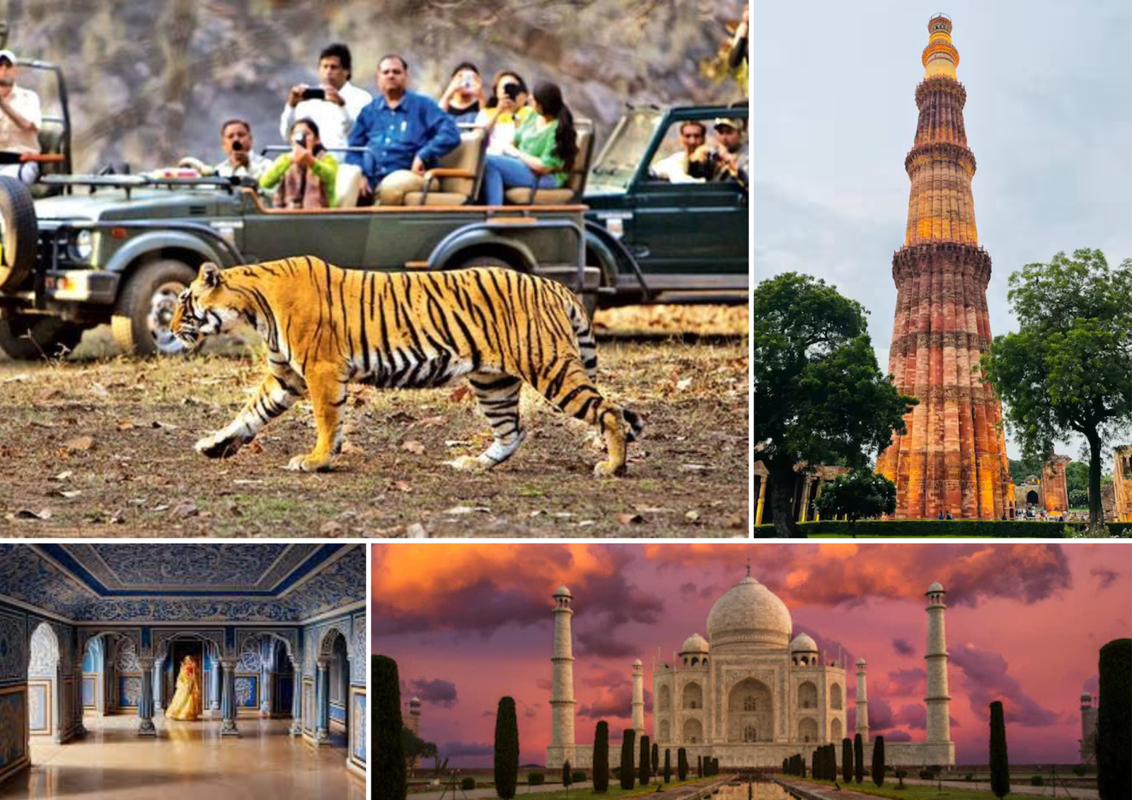 The Ultimate India Experience: Golden Triangle & Ranthambhore